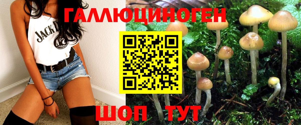 Галлюциногенные грибы Psilocybine cubensis  Галлюциногенные грибы Magic Shrooms  где купить   Сафоново  Вход с VPN 